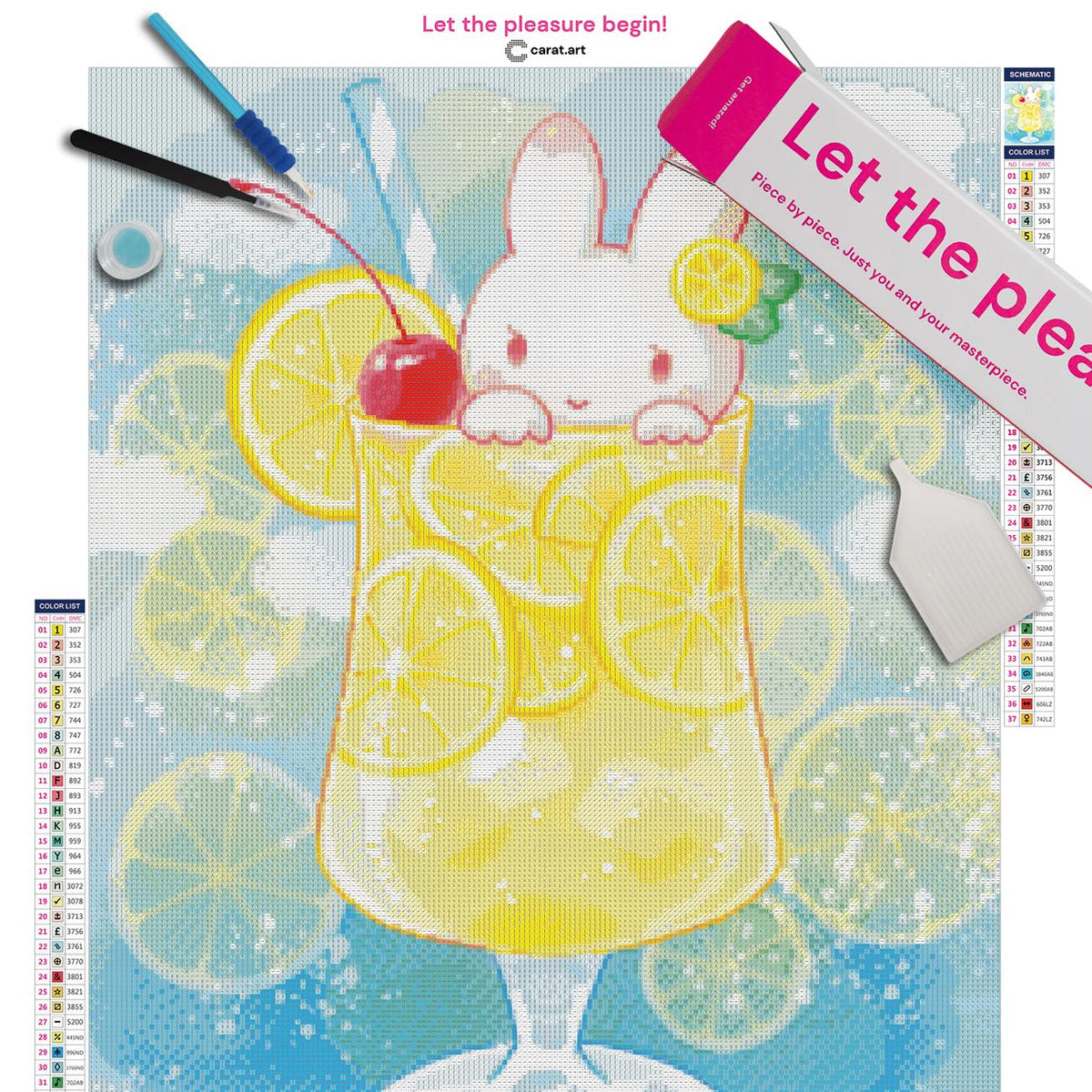Diamond Painting Set von Hiroko mit süßem Sommermotiv inklusive Leinwand, cearat.com Karton und hochwertigem Zubehör