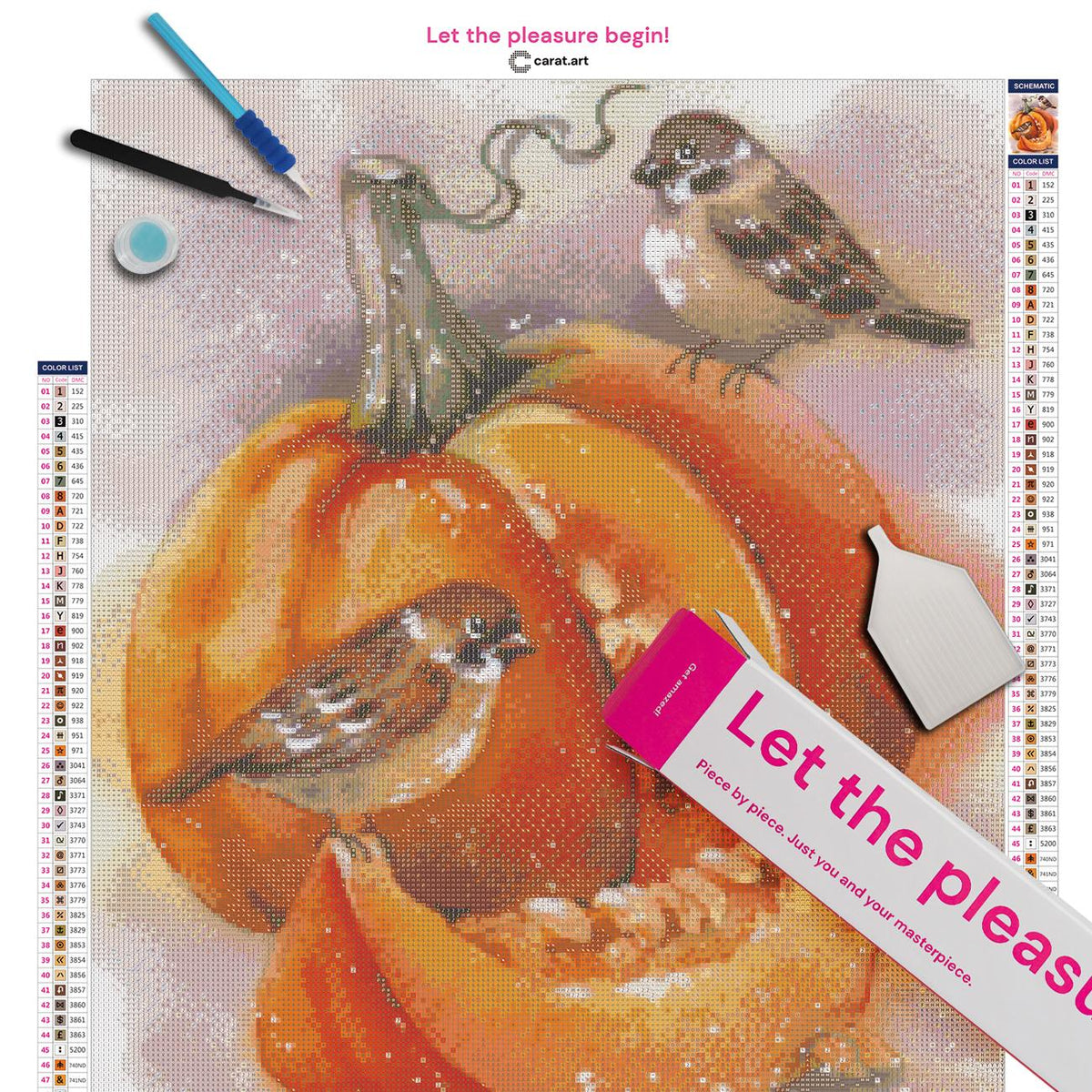 Diamond Painting Set mit Kürbismotiv mit Vögeln, cearat.com Premium Leinwand und Zubehör